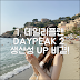 데일리플랜 데이피크 마스터하기: 생산성 UP