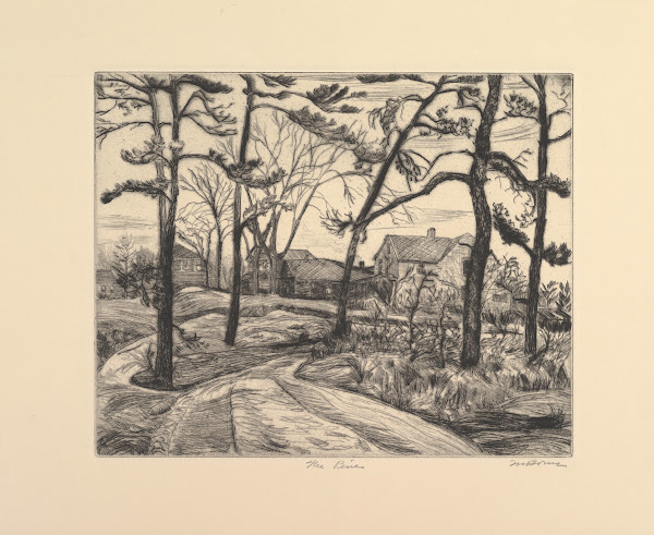 The Pines 193543