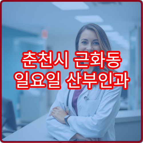 춘천시 근화동 일요일 산부인과 휴일 진료 여부