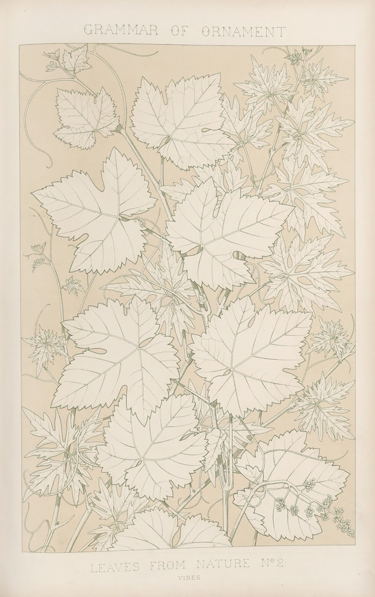 Leaves from Nature No 2 1856