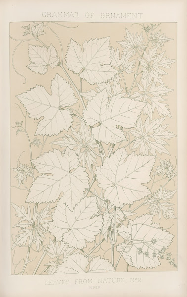 Leaves from Nature No 2 1856