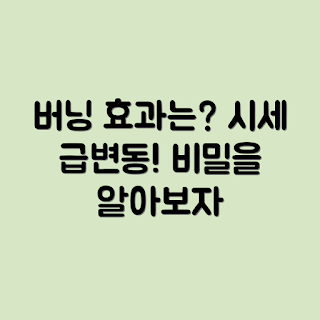 암호화폐 버닝, 암호화폐 시세, 버닝 구조, 시세 영향, 암호화폐 투자