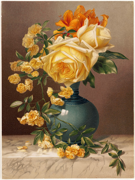 Marchal Niel Roses 1883