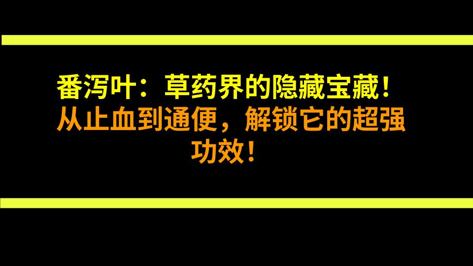 番泻叶：草药界的隐藏宝藏！从止血到通便，解锁它的超强功效！
