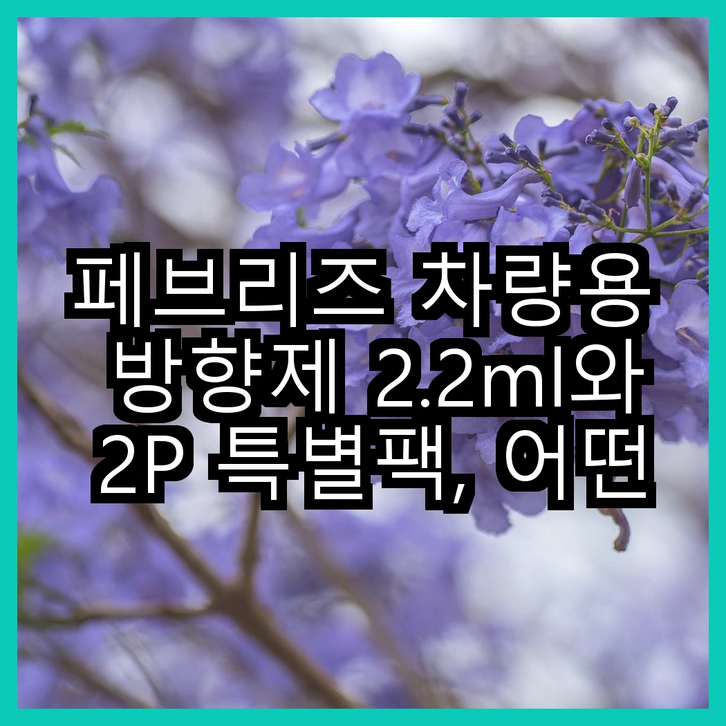 페브리즈 차량용 방향제 2.2ml와 2P 특별팩, 어떤 선택이 더 매력적일까? 썸네일