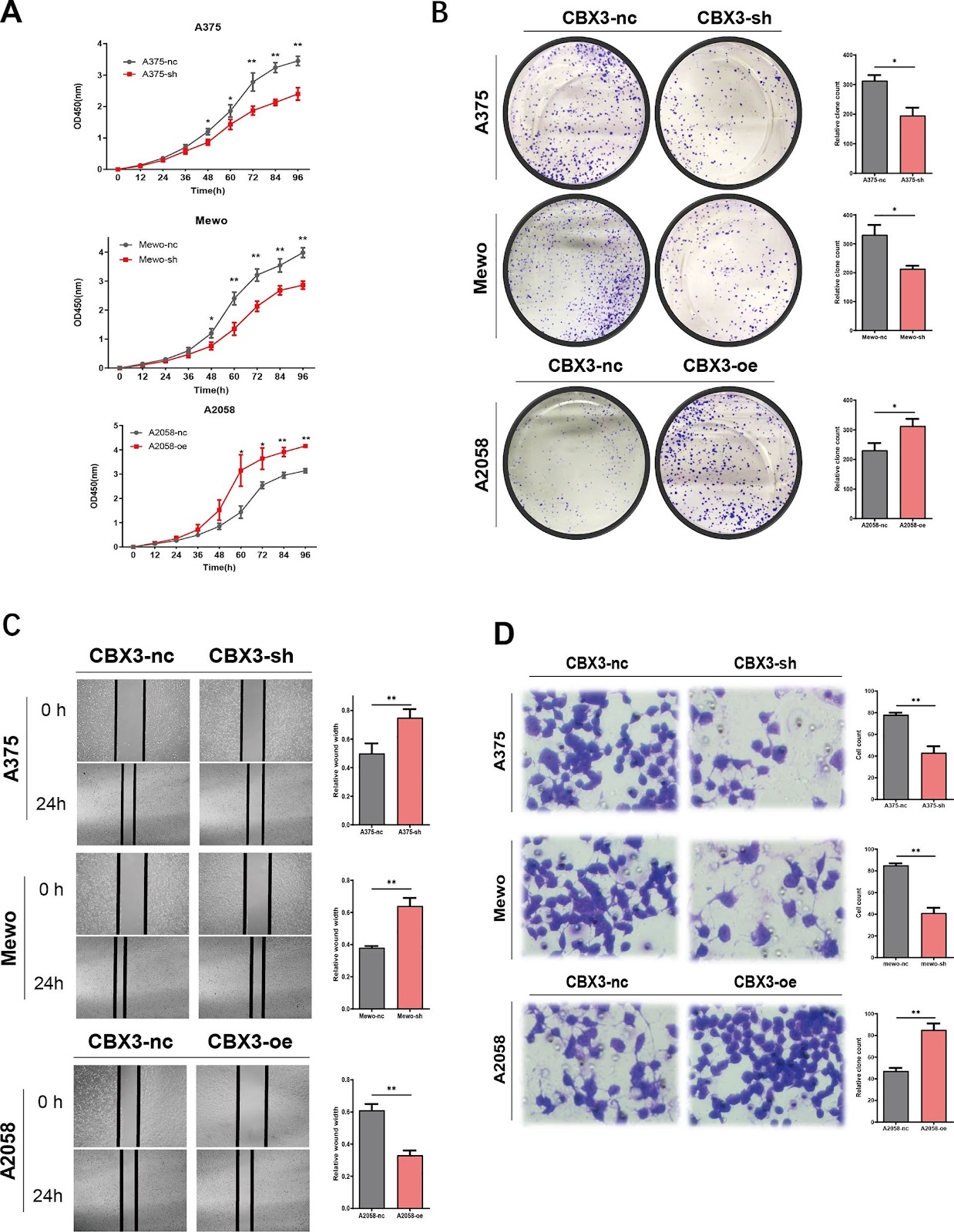 Induction of the p21/CDK6 pathway and alteration of the immune microenvironment by the stem cell marker CBX3 in melanoma