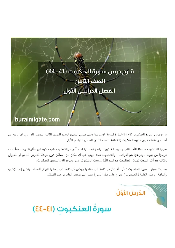 صورة الغلاف