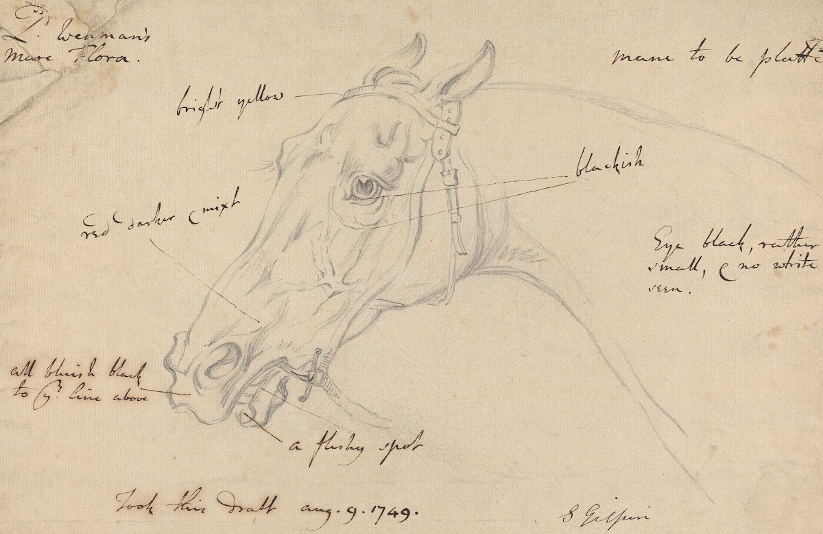 Lord Wennans Mare Flora 1749