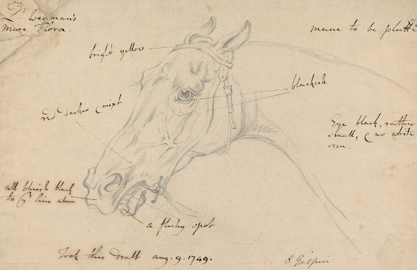 Lord Wennans Mare Flora 1749