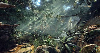 Jungle Wallpaper