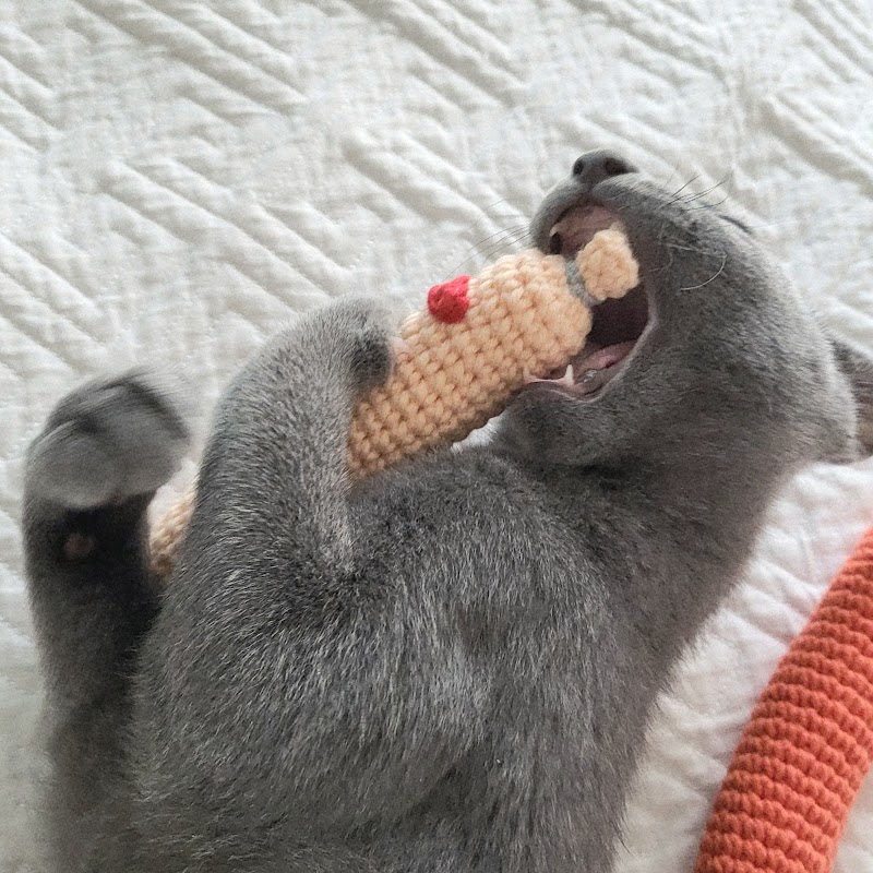 เจย์กงบัง - ไม่ใช่แค่ของใช้ แต่คือ 'งานศิลปะที่จับต้องได้': ปลดล็อกเสน่ห์งานถักโครเชต์ในยุคที่ใครๆ ก็อยากเป็นตัวเอง 이미지 4