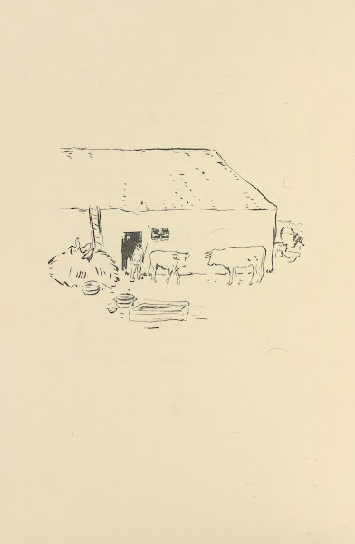 Histoires naturelles Pl 18 1922