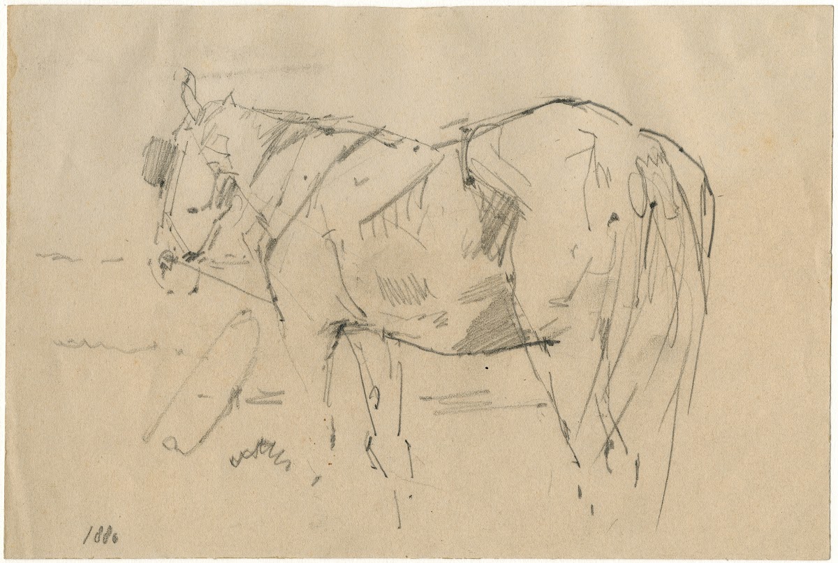 Horse 1886