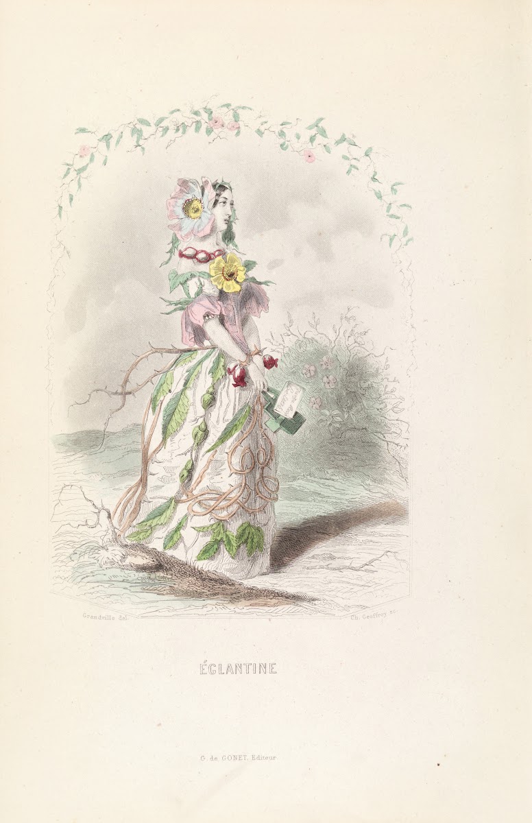 Églantine 1840s
