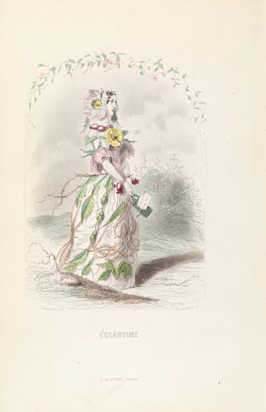 Églantine 1840s