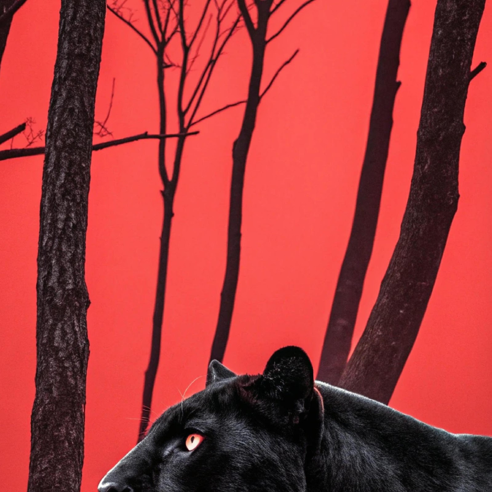 Download Black Panther In Red Forest 4K iPhone