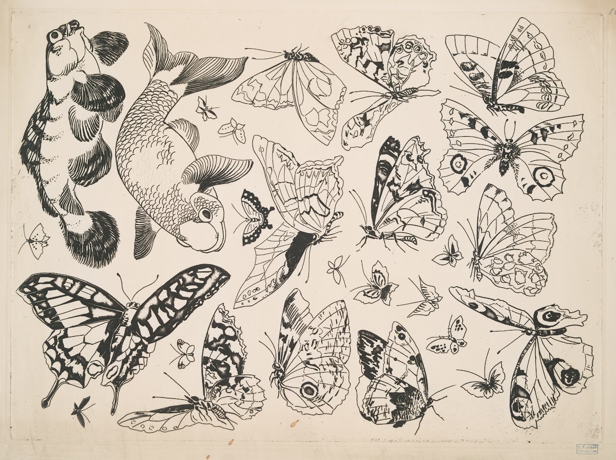 Papillons et poissons 1866