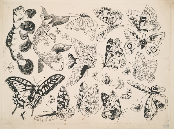 Papillons et poissons 1866