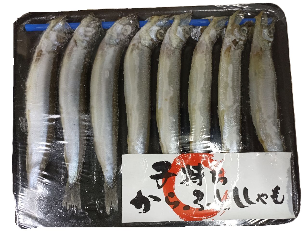 J.Shisamo 8pcs