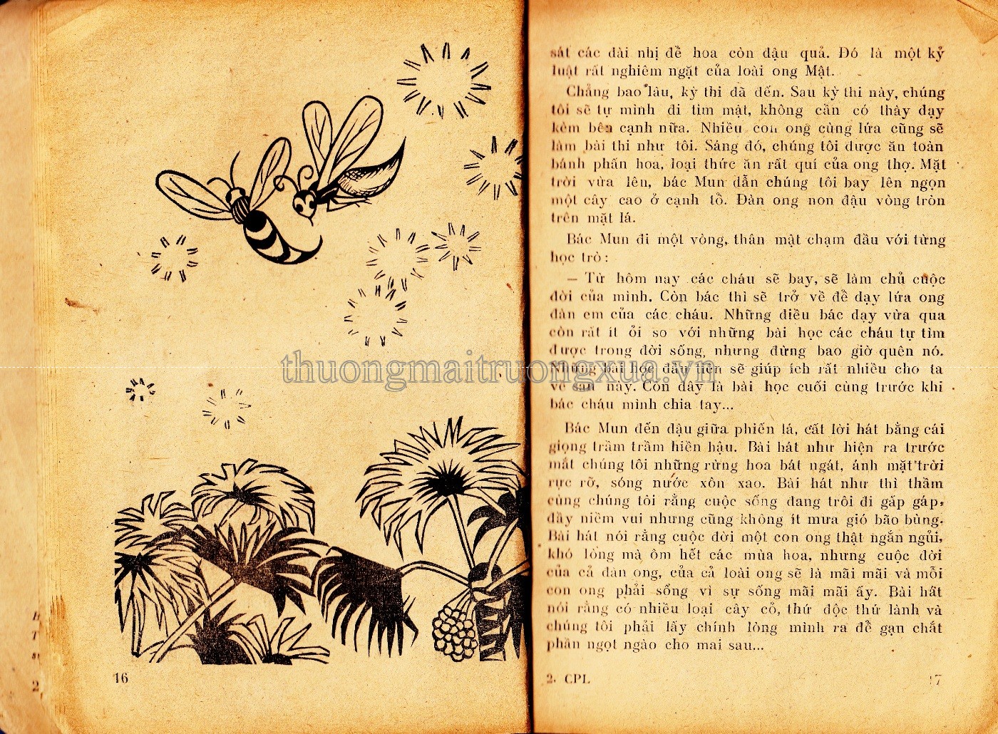 Cuộc phiêu lưu kì lạ của ong vàng (1981) - Trang 8