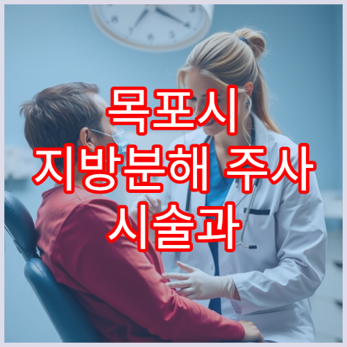 목포시 지방분해 주사 시술과 체형 개선 상담 가능한 전문 병원