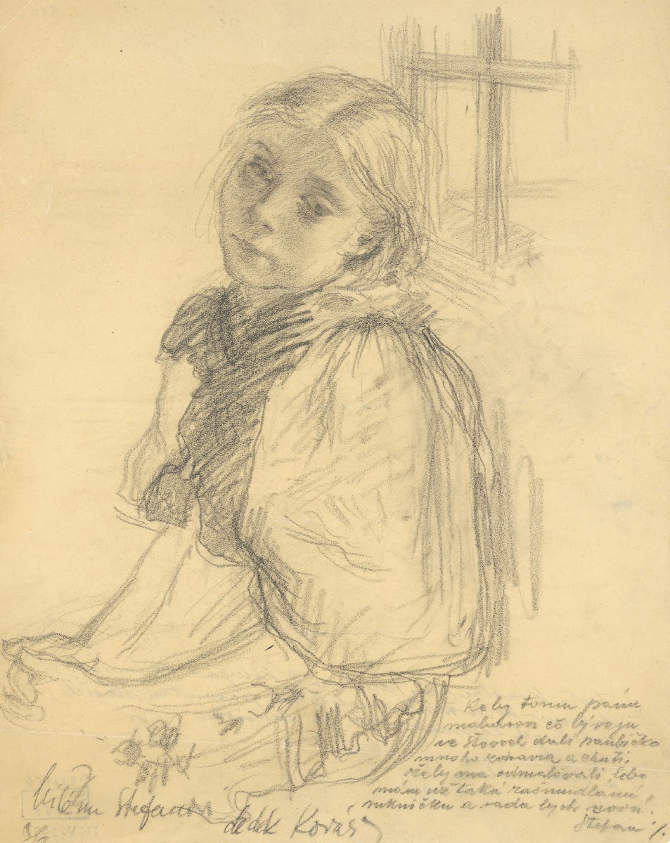 Little Girl in a Blouse with Large Sleeves