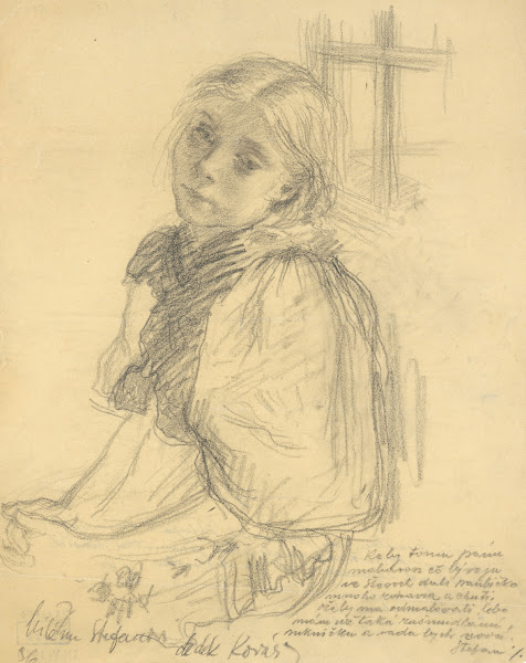 Little Girl in a Blouse with Large Sleeves
