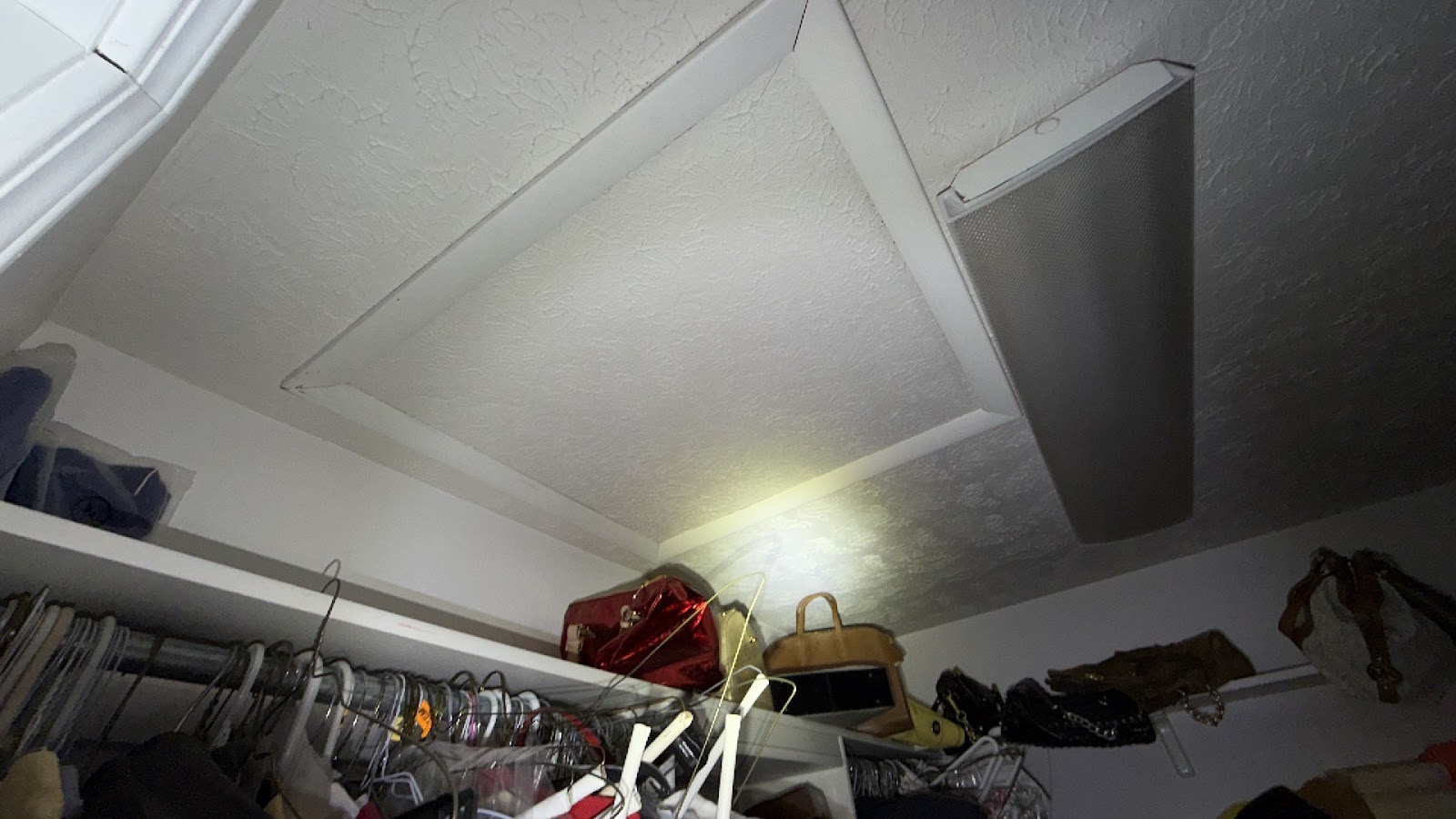 Copy of IMG_2026-03-13_14-06-32_819.jpg