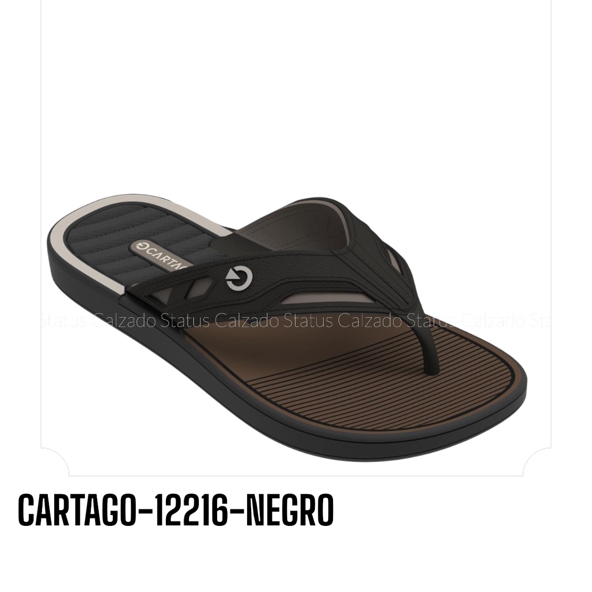 CARTAGO-12216-NEGRO