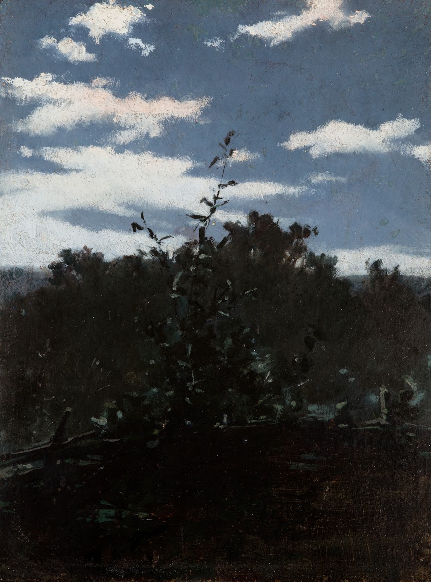 Landscape with a Brushwood Fence 1880