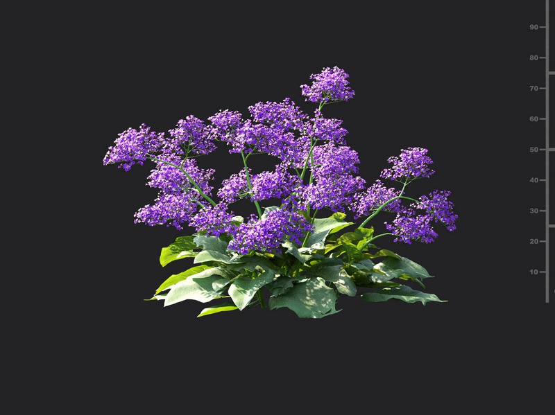 Maxtree - Plant Models Vol.115