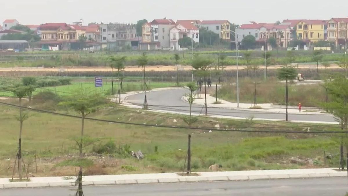 Hà Nội hỗ trợ chuyển đổi tạo việc làm bằng giao đất dịch vụ - Đài Phát thanh và truyền hình Hà Nội