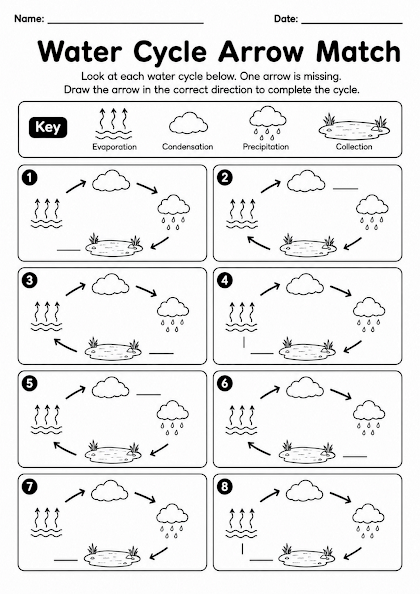Water Cycle Arrow Match