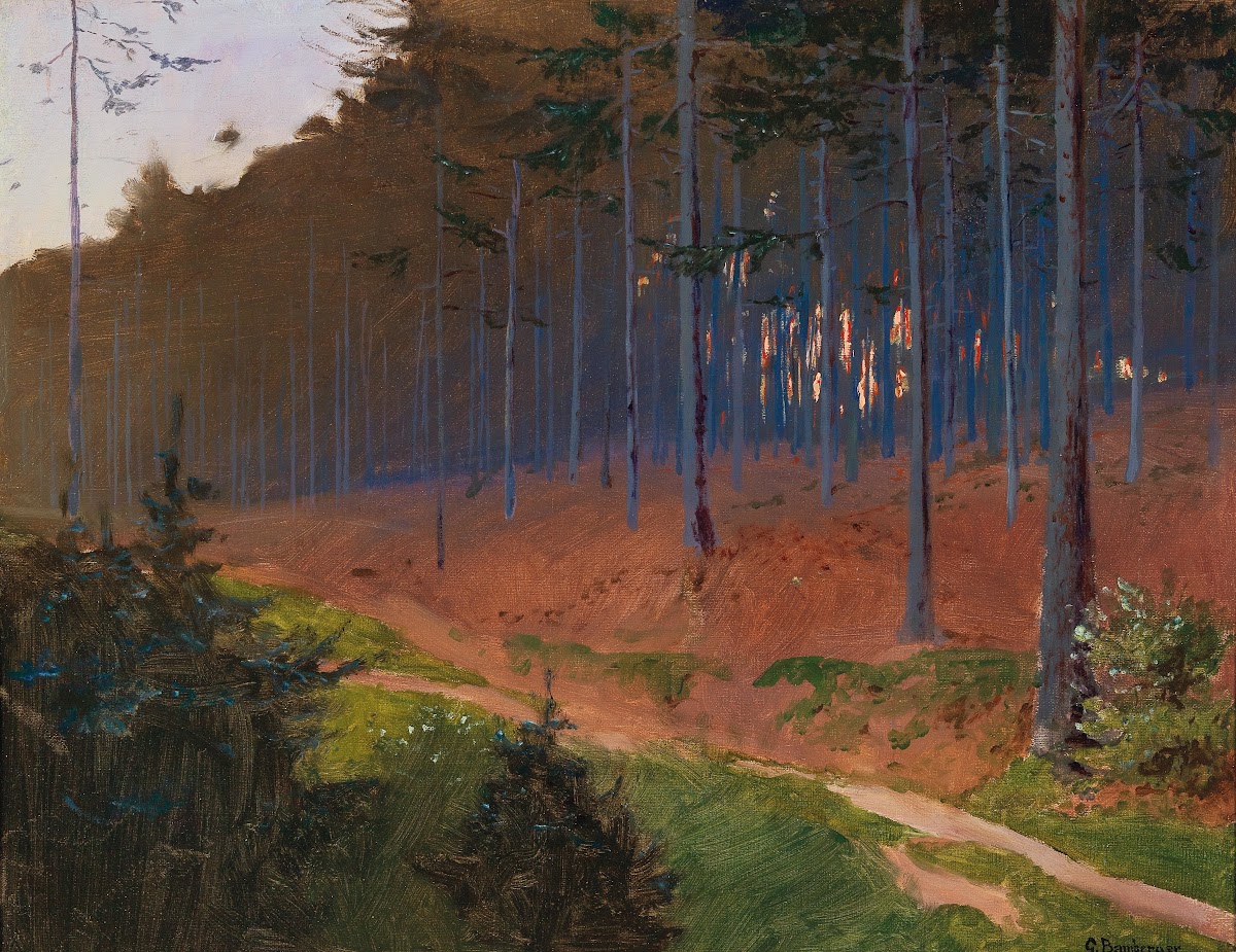 Forest Path near Weinzierl