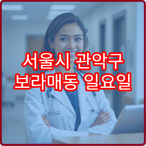서울시 관악구 보라매동 일요일 정형외과 진료 정보