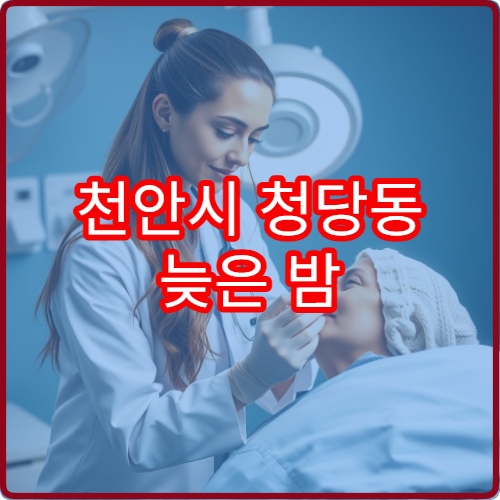 천안시 청당동 늦은 밤 진료 가능한 내과 병원 정보