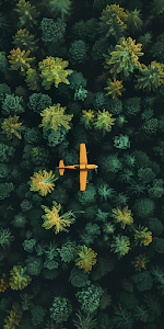 Orange Plane Flying Over Dense Tropical Forest Canopy