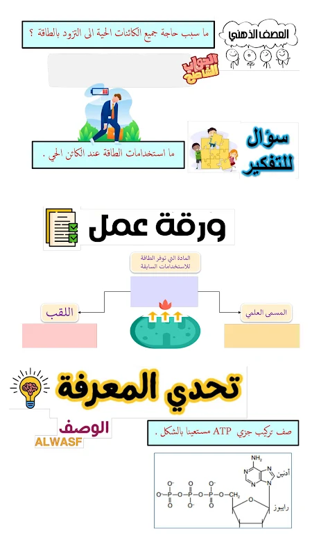 صورة الغلاف