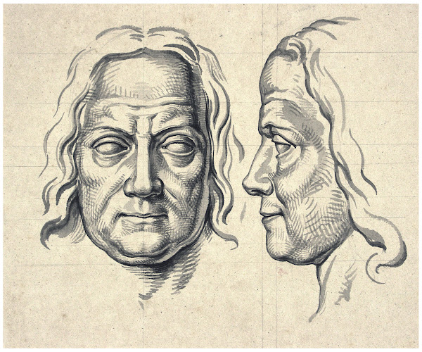 Kop van Boerhaave en face en en profil sculptuur