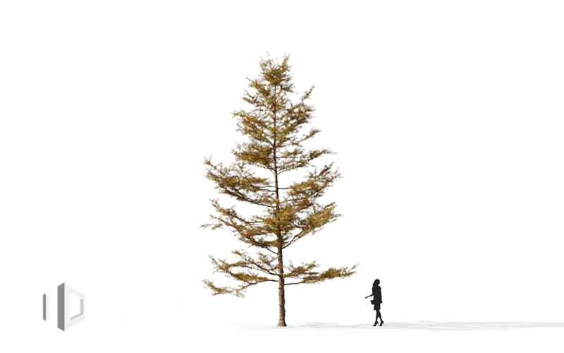 Maxtree - Plant Models Vol.9