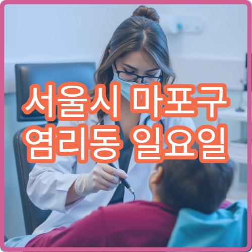 서울시 마포구 염리동 일요일 약국 당번약국 정보 및 위치 안내