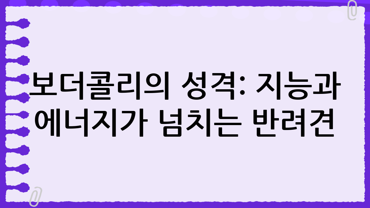 보더콜리의 성격: 지능과 에너지가 넘치는 반려견