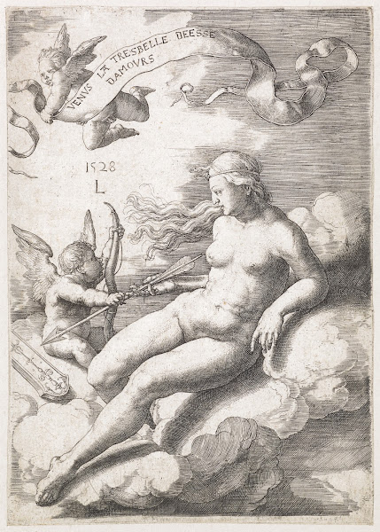 Venus 1528