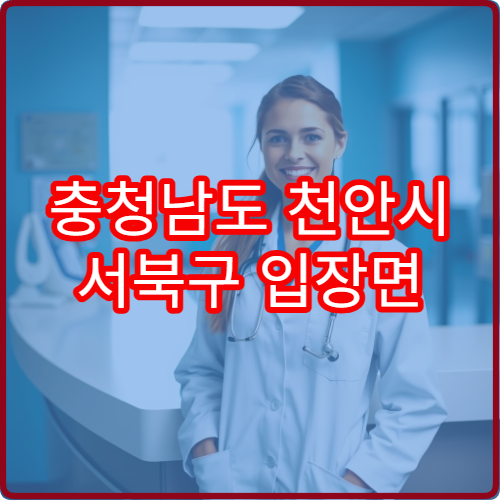 충청남도 천안시 서북구 입장면 설날 명절 당직약국 운영시간 정리