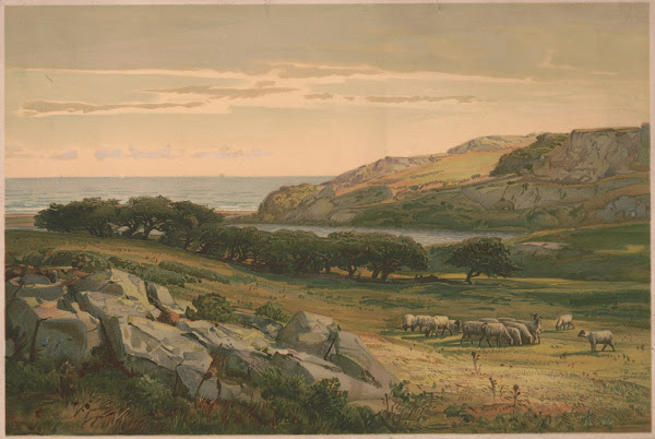 Almys Pond Newport 1887