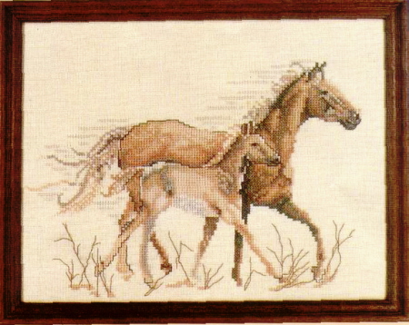 LAN3496 Horses