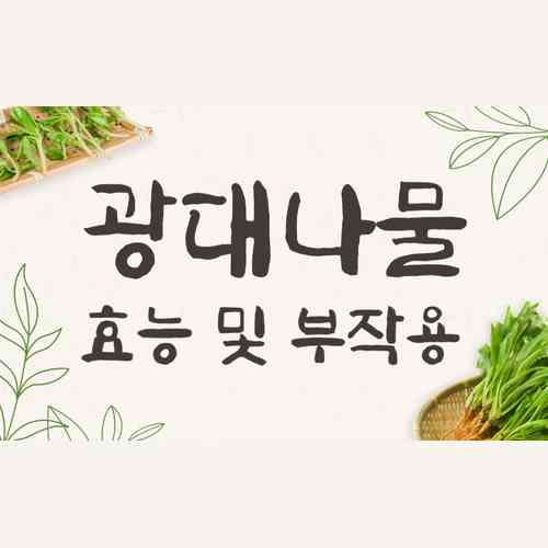 광대나물 효능과 부작용, 먹는법 완벽 가이드