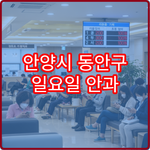 안양시 동안구 일요일 안과 진료 병원 눈통증·이물감 상담 가능