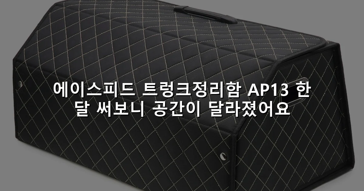 에이스피드 트렁크정리함 AP13 한 달 써보니 공간이 달라졌어요