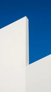 Ethereal Forest Morning Mist